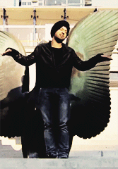 ek-ladki-deewani-si:  movies I love.  ➨ Jatt &amp; Juliet 