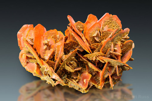 Minerals: WulfeniteA lead molybdenite mineral with the formula PbMoO4, wulfenite is typically found 