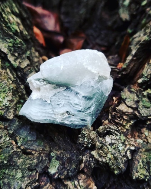 Crystal Herbalism - Blue Tara Quartz This crystal is the embodiment of Blue Tara (Ekajati), her ocea