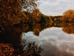 cherubesque:  autumn escaping 🍁🍂✨