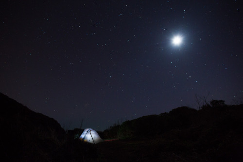 POINT REYES: WILDCAT CAMPGROUNDSimply beautiful! It can be difficult to reserve a spot here on the w