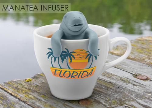 Is there an infuser you liked? Get one easily HERE [x].