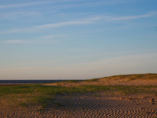 Evening at Holkham.April 2022