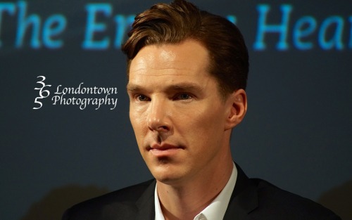 365londontown: Sherlock “The Empty Hearse” TV Preview at the BFI, 15 December 2013, Q&am