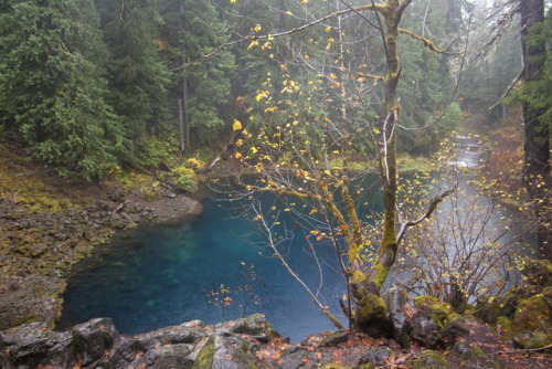 McKenzie River and Tamolitch Pool by Jérémy RONDAN
