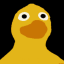 xavi-the-duck