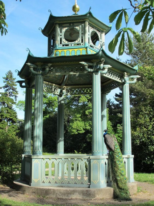 Paon et Pagodon - Jardin de Bagatelle, Bois de Boulogne, Paris by Yvette Gauthier