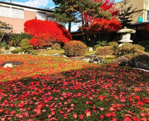 ＼おにわさん更新情報／ ‪[ 秋田県大仙市 ] 旧本郷家住宅庭園 Hongo Family Residence&rsquo;s Garden, Daisen, Akita の写真・記事を更新しました。