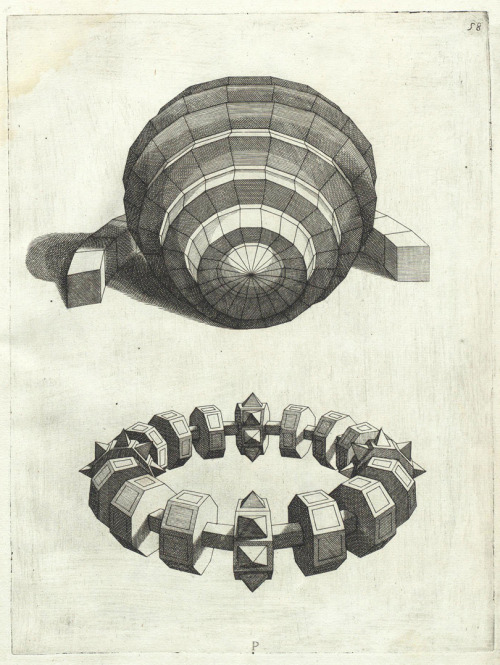 Lorenzo Sirigatti, Polyhedron and &ldquo;mazzocchio&rdquo; in perspective, 1596. Venice, Italy. Comp