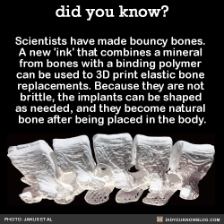 did-you-kno:  Scientists have made bouncy bones.  A new ‘ink’ that combines a mineral  from bones with a binding polymer  can be used to 3D print elastic bone  replacements. Because they are not  brittle, the implants can be shaped  as needed, and