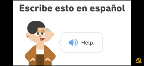 Bros As Random Duolingo Sentences