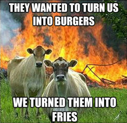 nerdyveganrunner:  My favorites of the cows meme. 