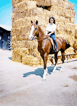 realtreblemaker:   Rare Elizabeth Taylor