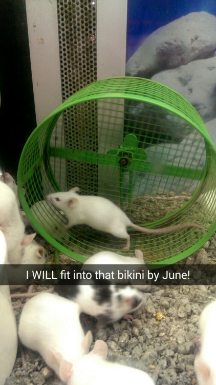 ugly-bread:  I went to a pet store today