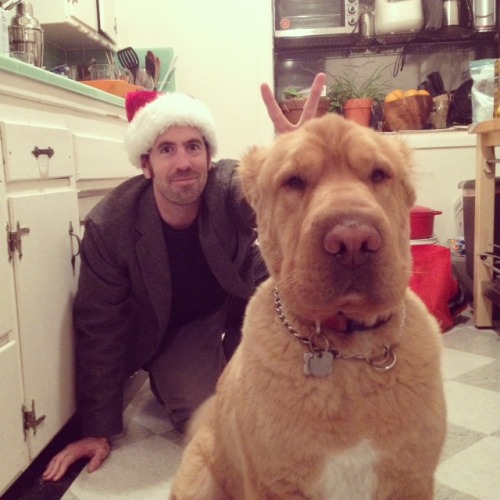 petswhowanttokillthemselves:  Merry Christmas from Pets Who Want To Kill Themselves!    Me & my pal Kima in Koreatown (Los Angeles), CA