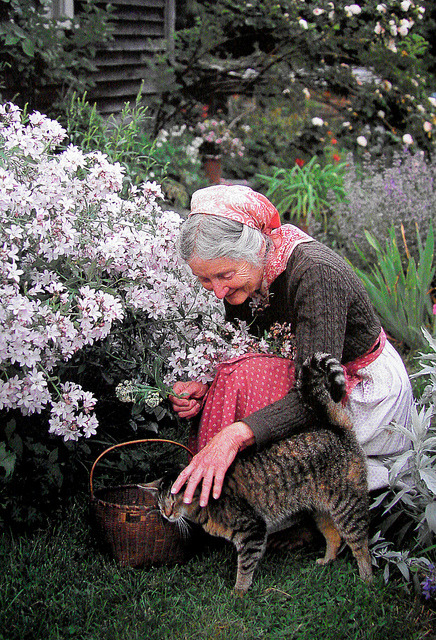 knithag:Tasha Tudor lived the dream