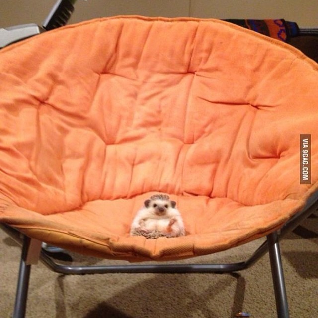 9gag:  Have a seat, we need to talk 