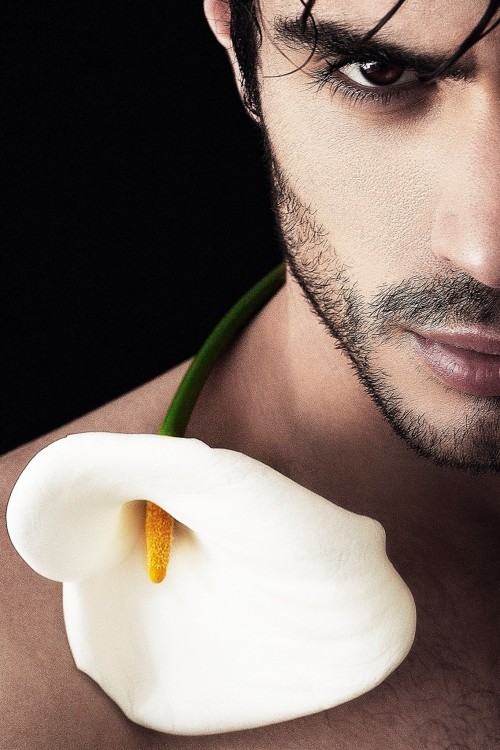 provacativeman:  Alex Rousseau | PH: Domonick Gravine 