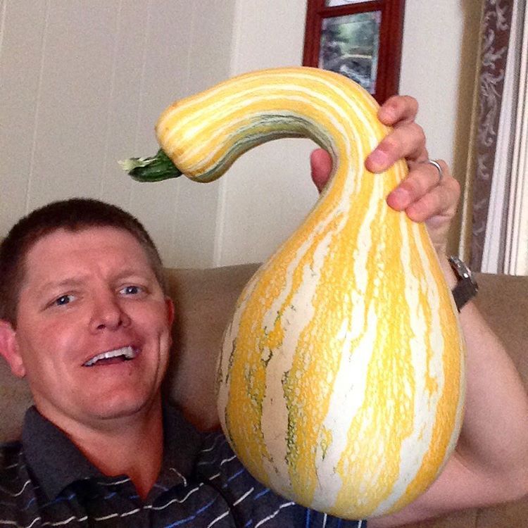 Check out this massive gourd.