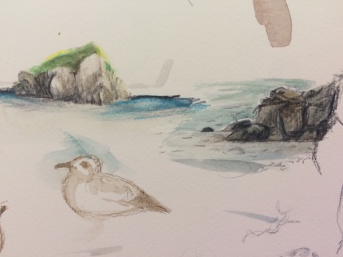 Hung out at howth yesterday