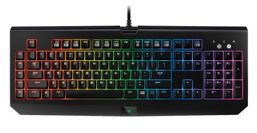 animeconsumerism:Series: Netoge no Yome wa Onnanoko ja nai to OmottaKeyboard: Razer Blackwidow Chrom