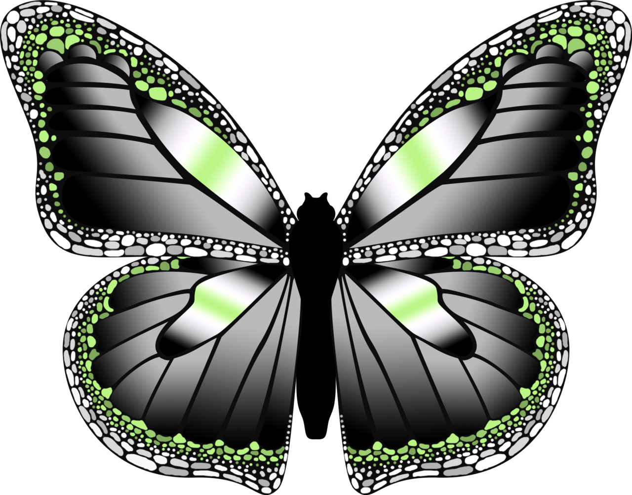 emilylaj-for-pride-month-i-made-some-butterflies-with-the-lgbtqia