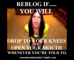 sissysally69:sissy-stable:Would you drop to your knees, open your mouth and do whatever you are told ?yes i would