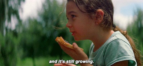 raffertysarah: The Florida Project (2017) dir. Sean Baker