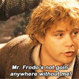 ianmckellen:  lotr meme: nine characters (5/9) → Samwise Gamgee &ldquo;You’ve