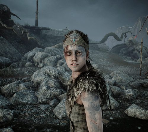 laufeythejust: Hellblade: photomode - 4/∞