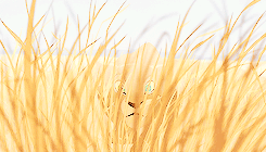  You said you’d always be there for me! But you’re not. And it’s because of me. It’s my fault. It’s my fault. 