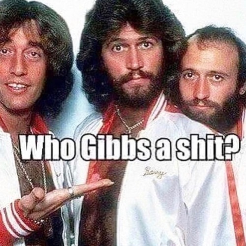 WE DON’T GIBB A SHEEIT #VinylRanch #disco #beegees #nyc #texas...