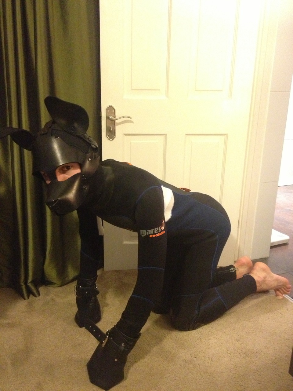Good Pup  domtopdog:  mastereric761:  mentalaberration:  Loving this pup’s raincoat!