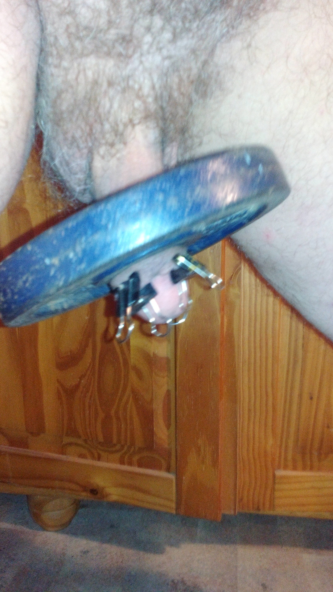 Schwein beim Gewichtheben
