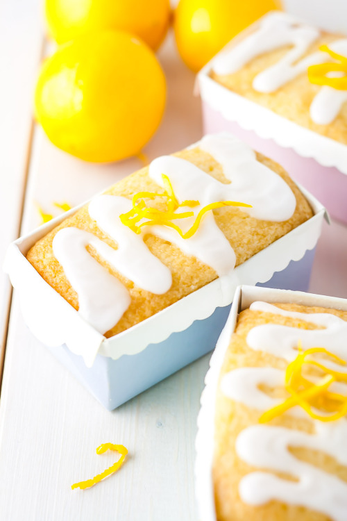 XXX intensefoodcravings:  These Mini Meyer Lemon photo