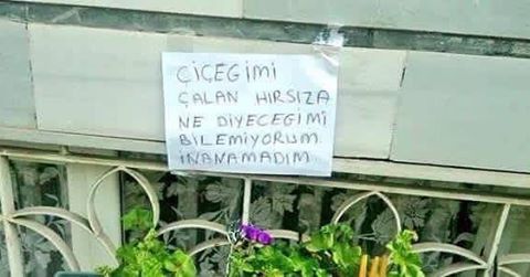 ÇİÇEĞİMİ
ÇALAN HIRSIZA
NE...