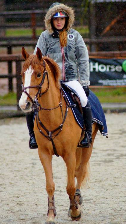horsejumpingpic:  I love this one 
