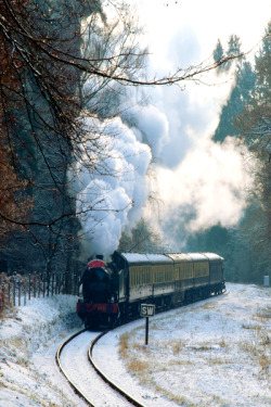 senerii:  senerii: Dean Forest Railway Parkend