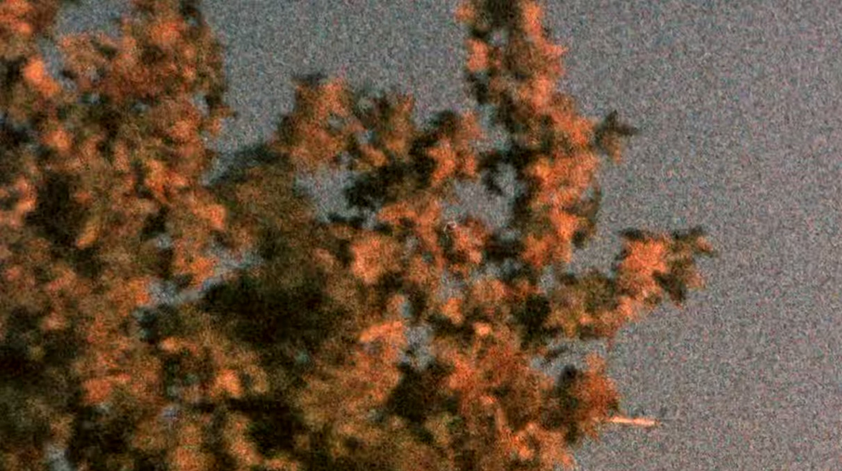 a-quiet-life: 1977, Kodak 160G Super 8 film (expired) 