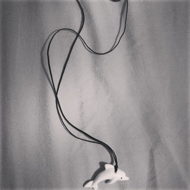 mir-125-butterfly:  But always remember, I’m here for you darling. This dolphin