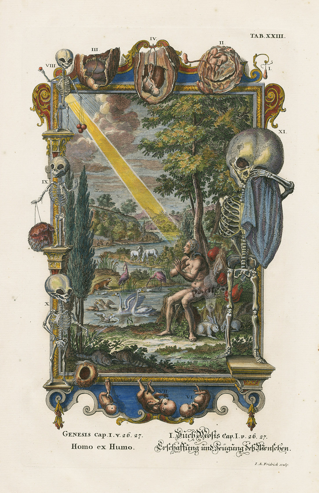 collectorsweekly:  “Physica Sacra,” a book of scientific evidence and theories