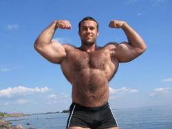 Mounds of muscles, hairy chest, shoulders and I suspect a hairy back too - WOOF