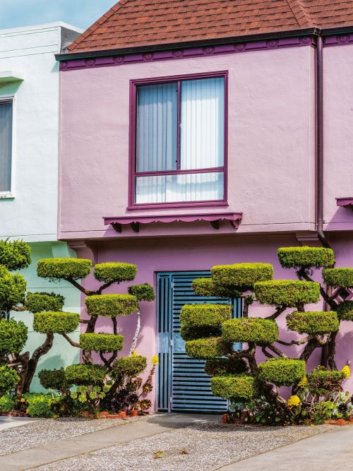 redlipstickresurrected:Kelsey McClellan (American, based San Francisco, CA, USA) - Topiary from San Francisco, California, Photography