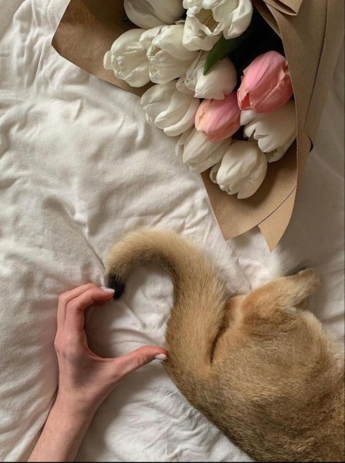 hyprfem - ʚ。 erin 。ɞ