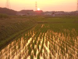 田園風景