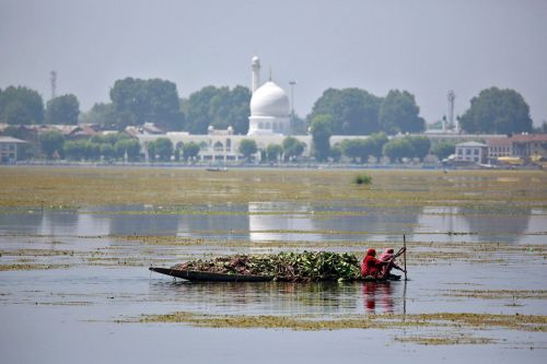 Women in canoes collect weeds on Dal lake in Srinagar on August 20, 2016. (Cathal McNaughton/Reuters