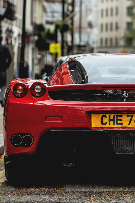italian-luxury:  Signore Enzo | More