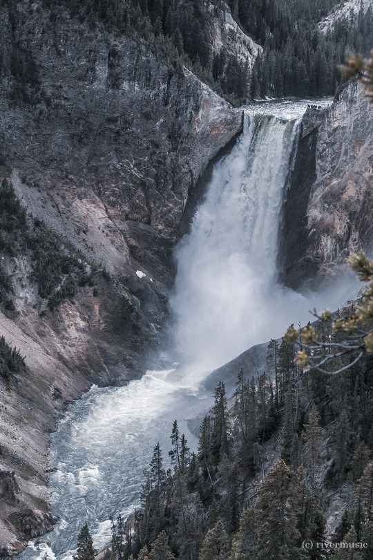 Lower Falls of the Yellowstone River, revisited: (c) riverwindphotography