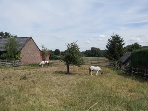 waidwund:  rural exploration left lower rhine