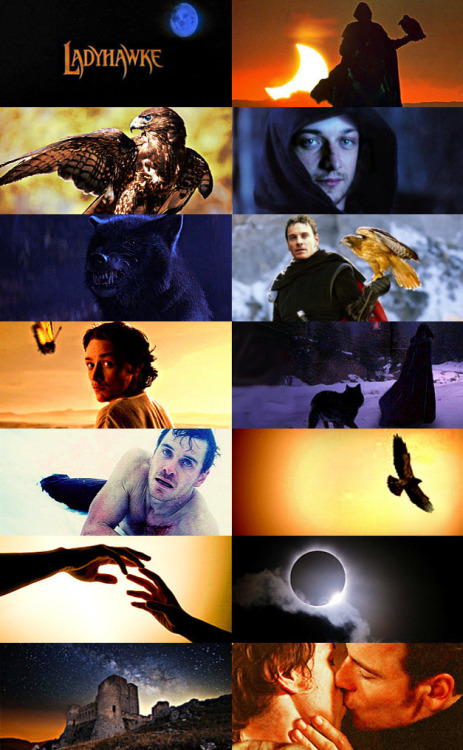 darksideofafangirl: Ladyhawke AU (Cherik)“By day, Charles is the beautiful hawk you see flying